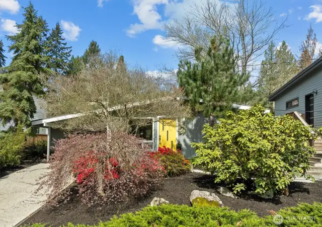 Exterior shot of main house with mature trees