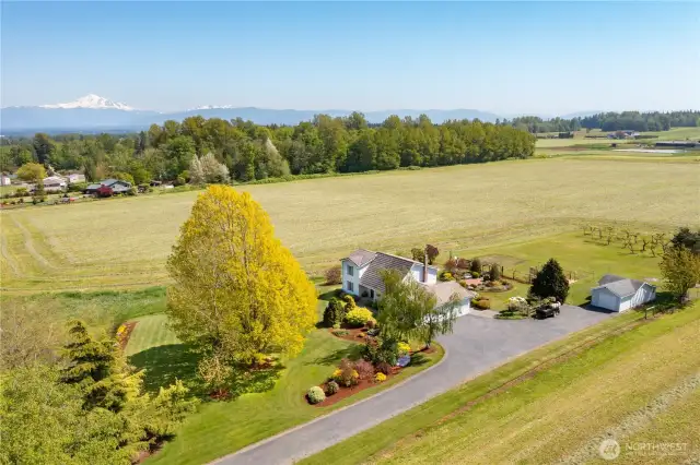 4.8 acres: home + outbuilding