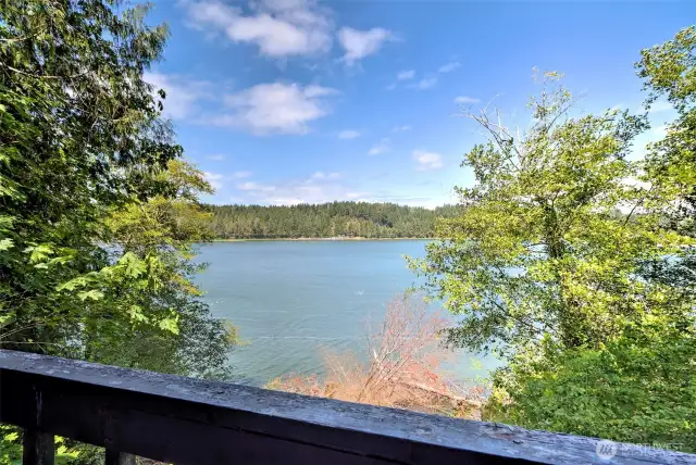 View from Deck