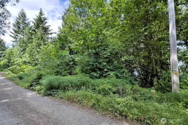 Beaver Lane