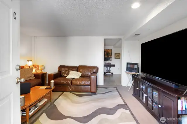 Basement living room
