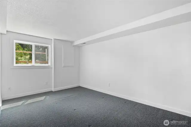 Lower Level Bedroolm.