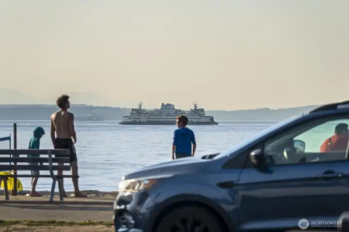 Stroll the boardwalk and take in ferries, marine life, and beautiful sunsets