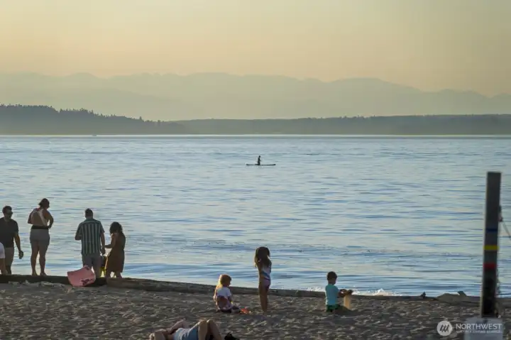 Paddleboard anyone!?!