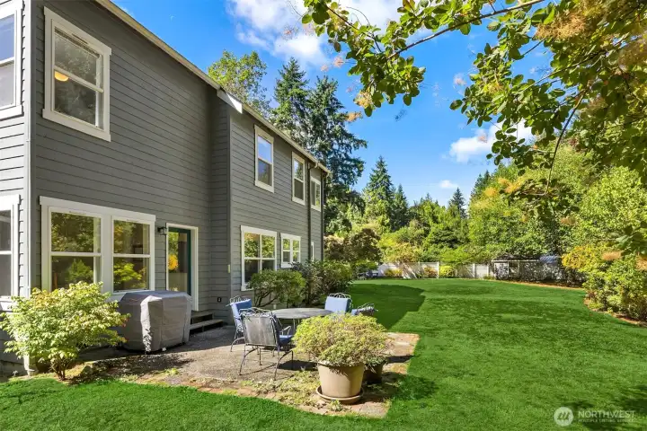 Expansive backyard