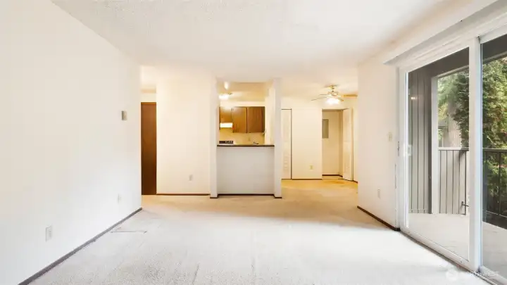 Living Room + Access To Balcony.