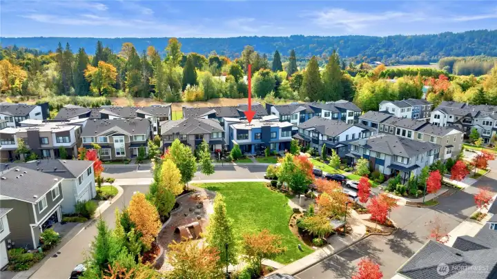 Excellent location, close to Microsoft shuttle stop, walking distance to grocery & amenities!