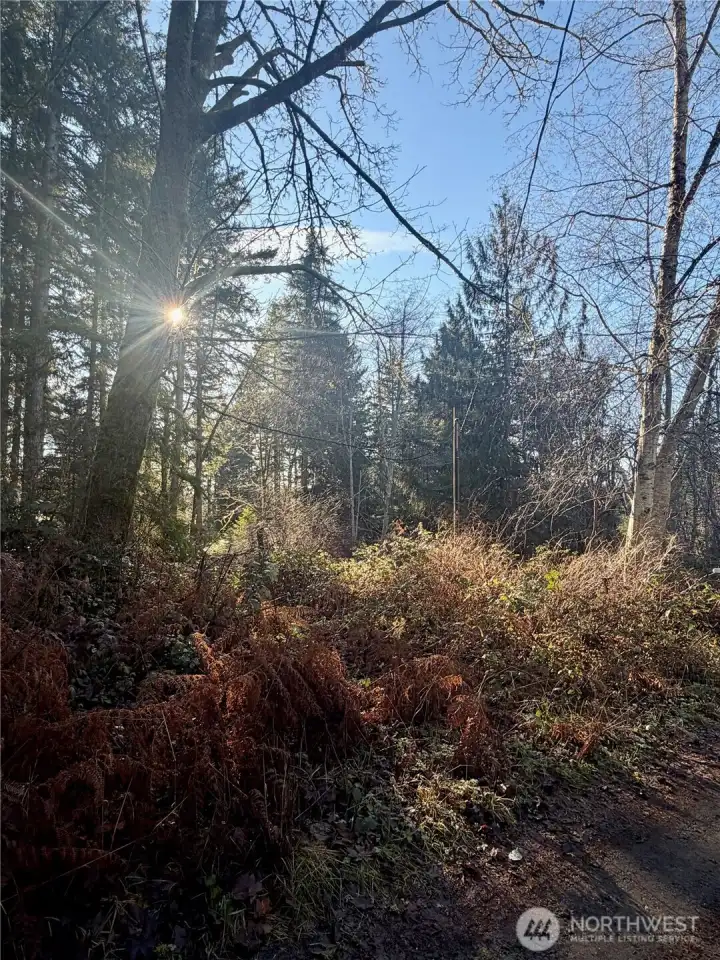 View of property from the road
