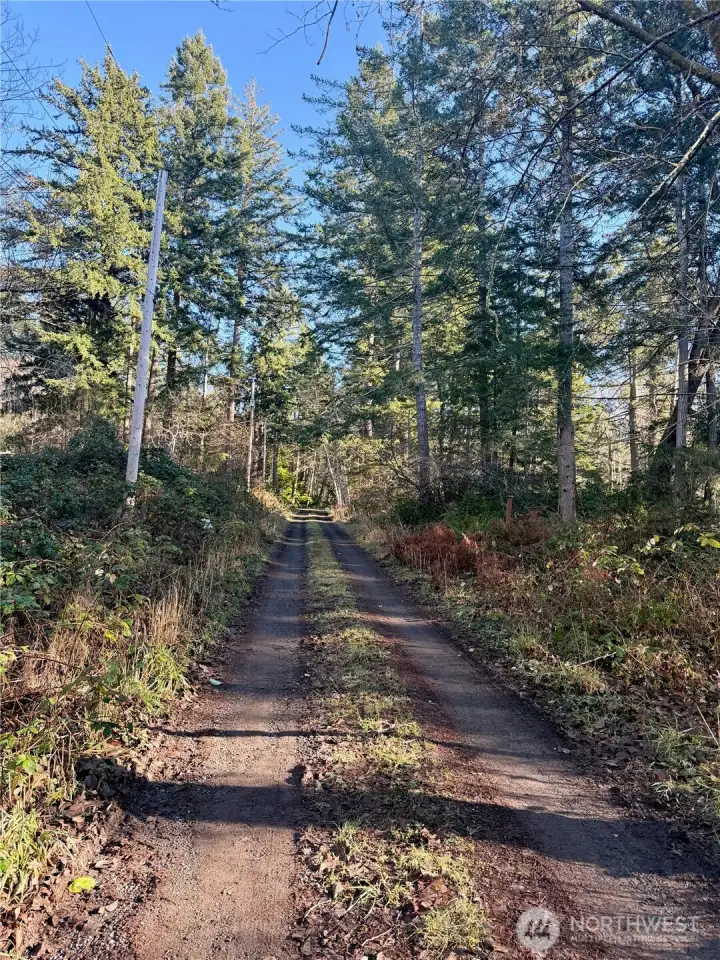 Road in front of property