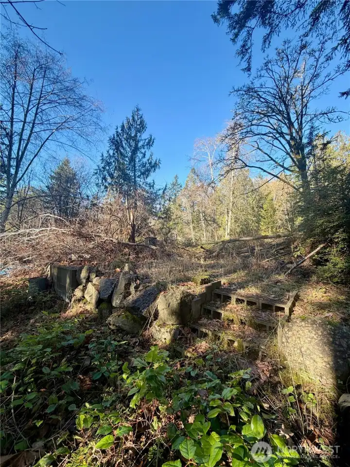 The septic system is just at the top of these steps