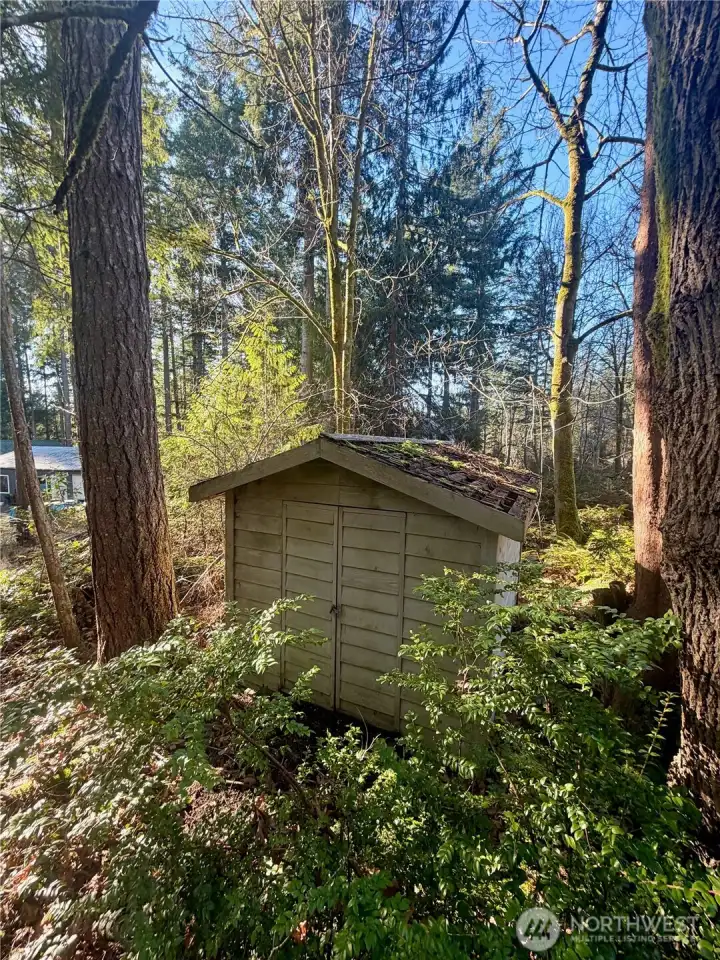 Shed on property - roof needs to be repaired or replaced