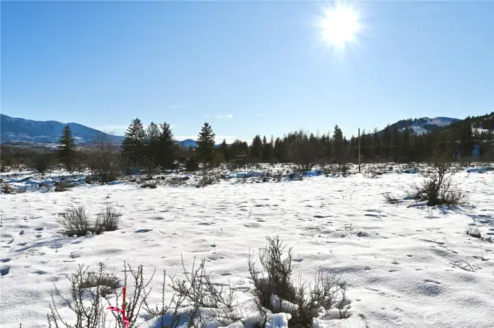 Looking East towards Left Fork Wolf Creek Road