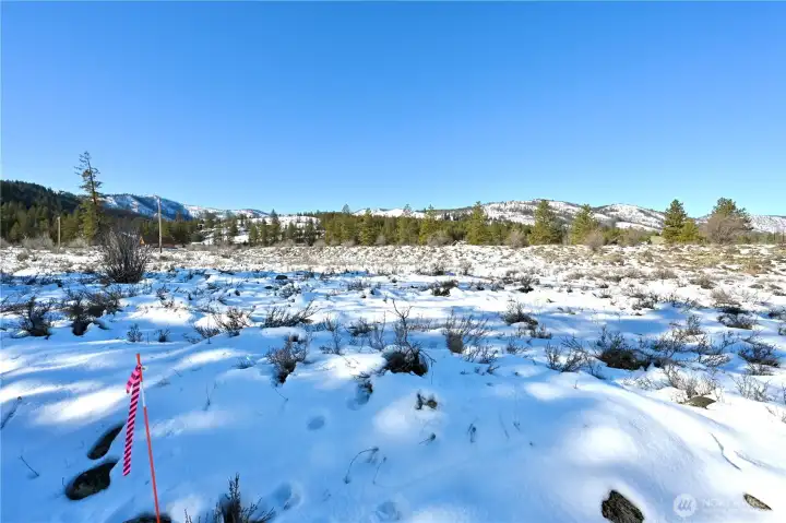 Looking SW towards Green Meadows Dr.
