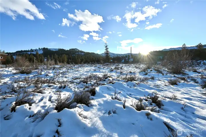 Evening light in Green Meadows