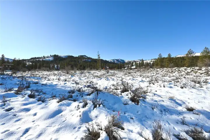 Standing on the East West line looking towards Sun Mtn.