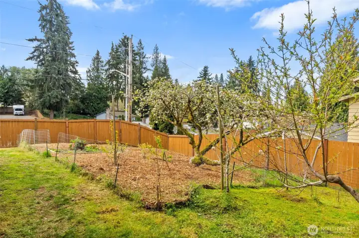 Spring is here so your fruit trees and vegetables are coming to life. Enjoy an apple tree and a peach tree. Blueberry and raspberry bushes, chard, strawberries and carrots are ready to pick soon!