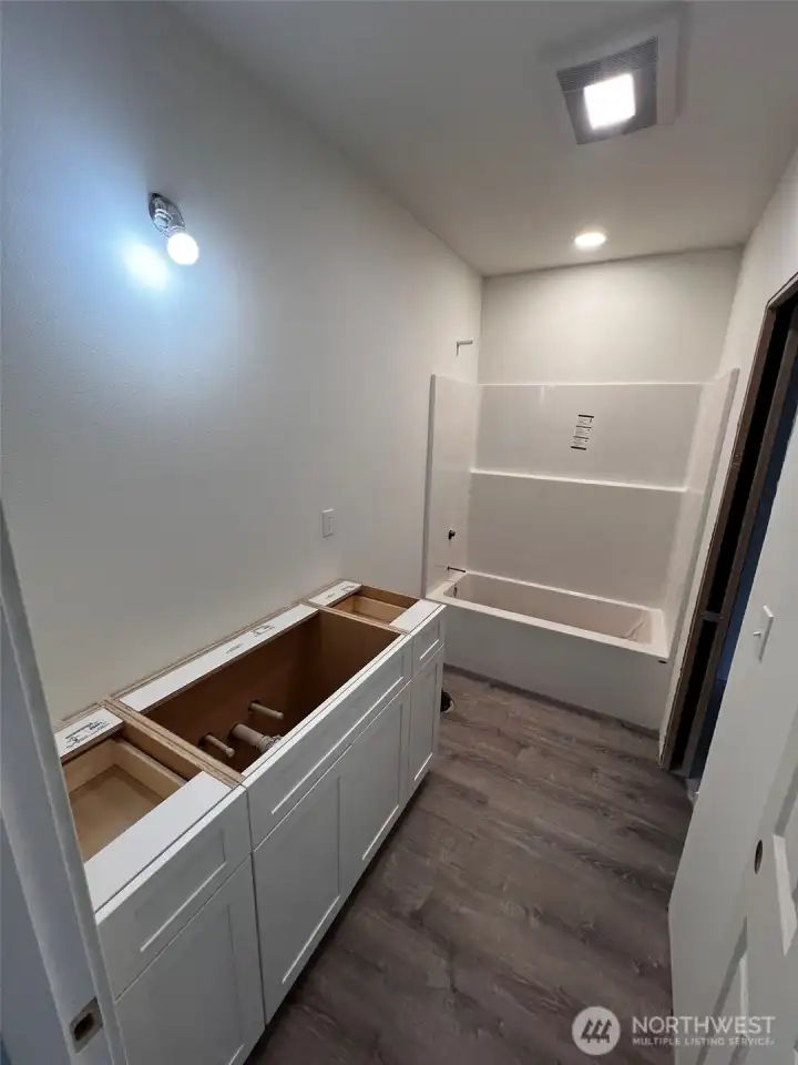 Lower level full bath