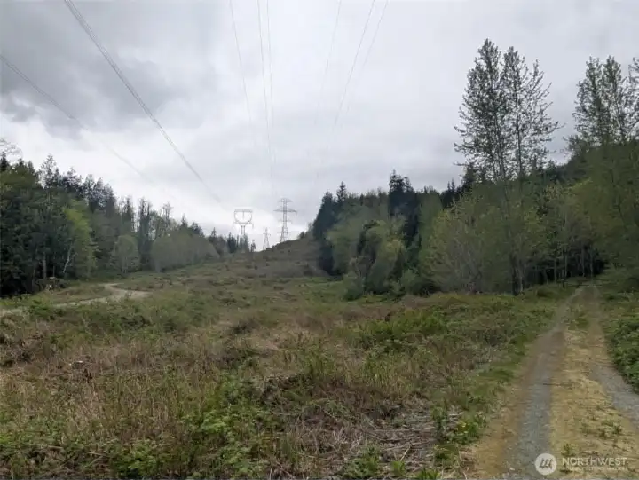 The property runs under the power lines and across the road going to Barkley Lake.