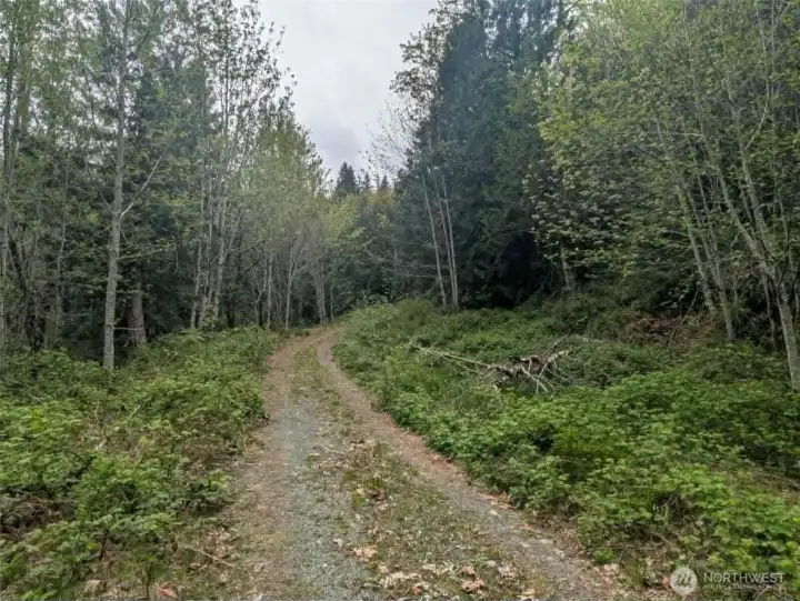 Going up the hill, property on both sides.