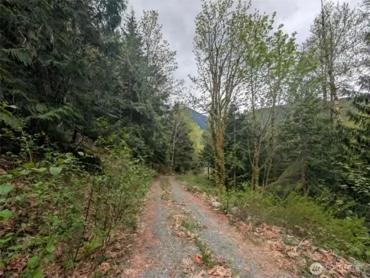 Looking down the road from the top of the property