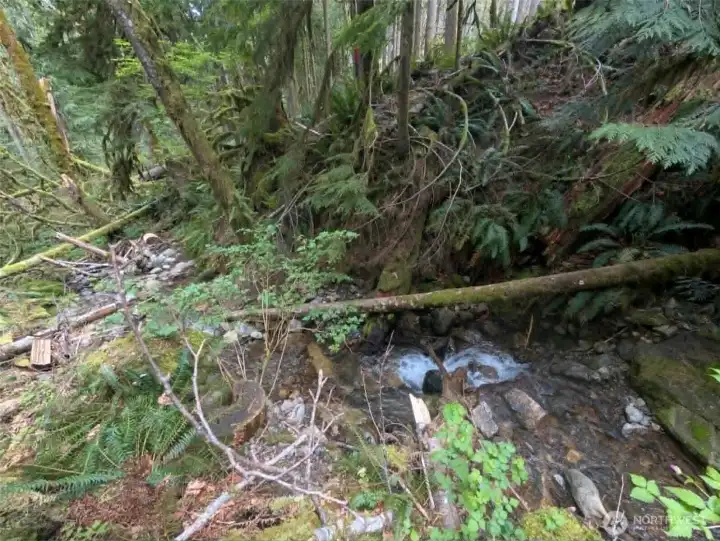 The Creek at the top of the property