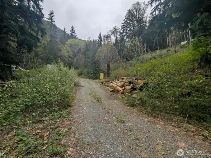 The wood and containers are not on the property, the property line crosses the road at the red marker and goes to the left/West down to the creek