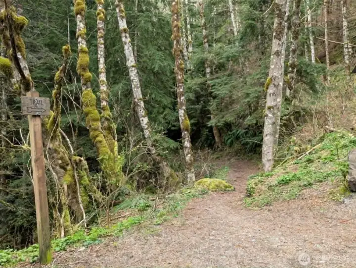 The Trail to Barkley Lake or extend it to Eagle Lake.