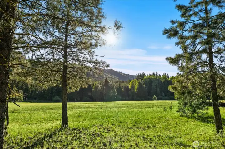 Capture views of the meadow and mountain ridgeline