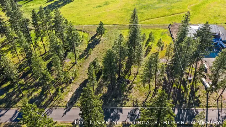 Aerial view of site