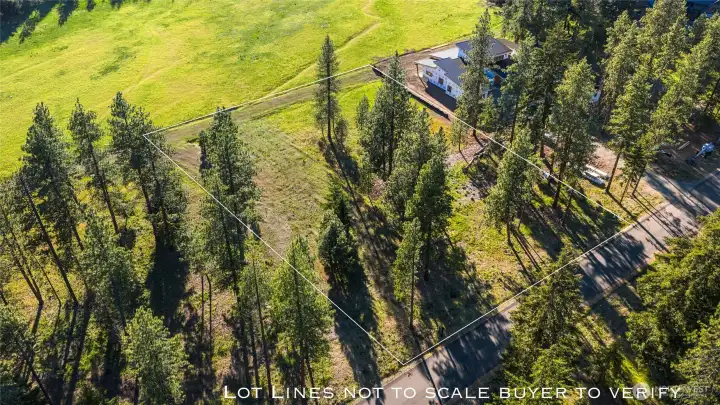 Aerial view of site