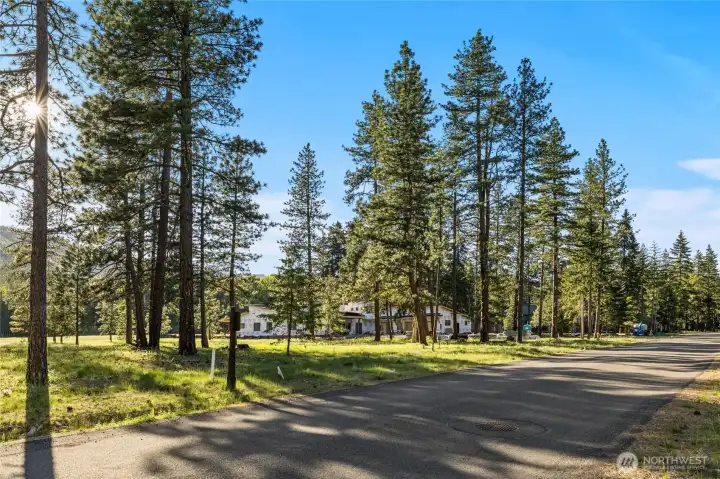 Street view of property