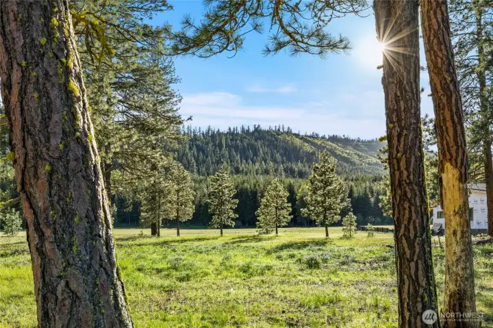 View from middle of property
