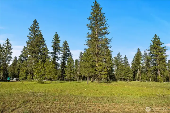 View of back of property from Meadow