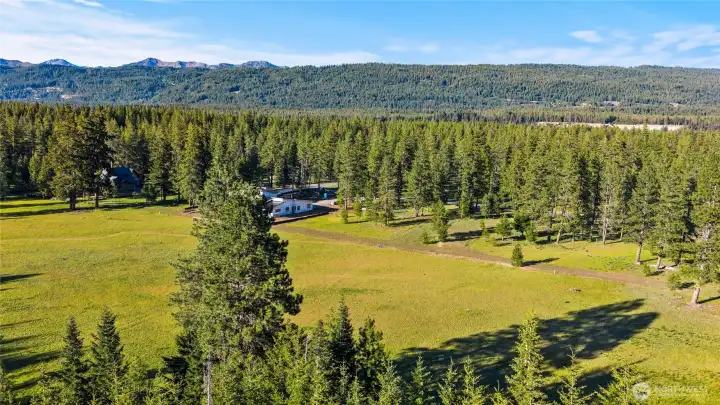 Aerial view of site and meadow