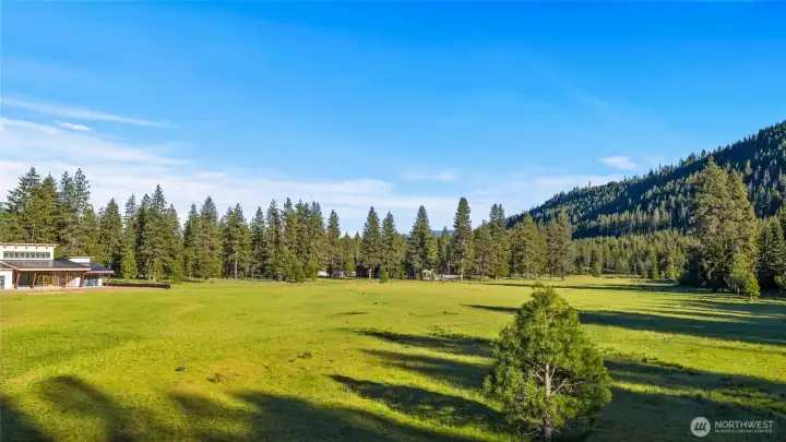 Aerial view of site and meadow