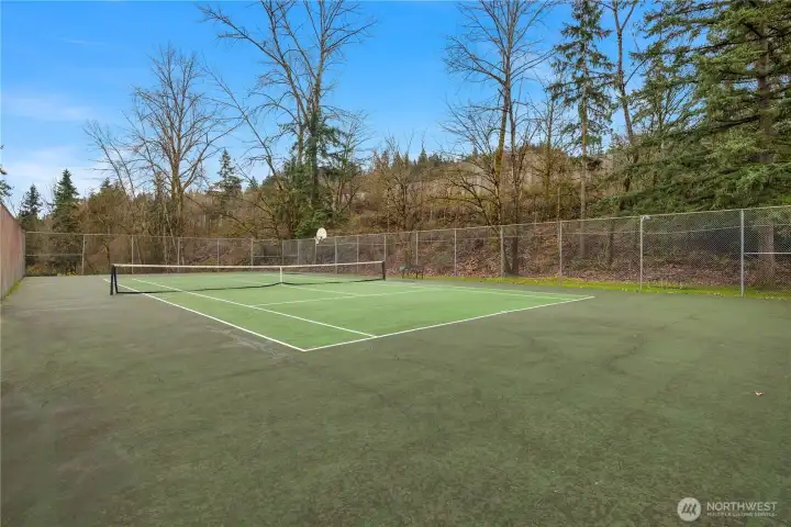 tennis court tennis court