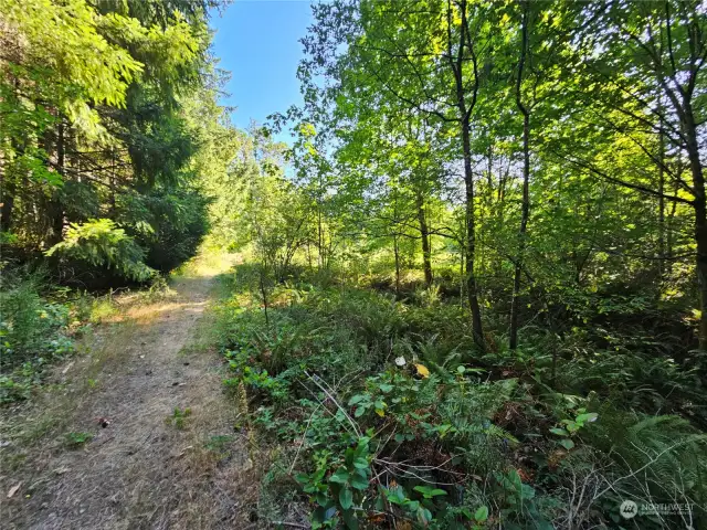 DRIVEWAY PATH TO BACK SIDE OF LOT ON 58th AVE NW EAST SIDE OF HYW16