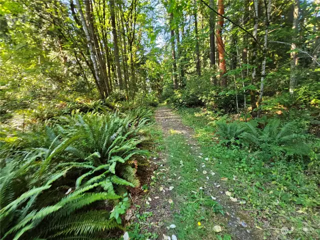 DRIVEWAY PATH TO BACK SIDE OF LOT ON 58th AVE NW EAST SIDE OF HYW16