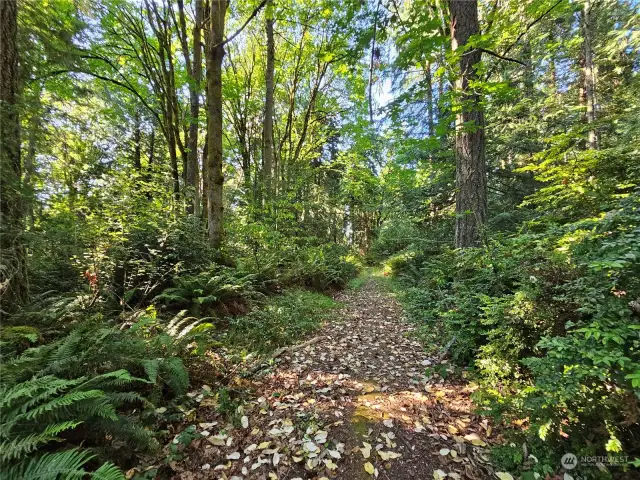 DRIVEWAY PATH TO BACK SIDE OF LOT ON 58th AVE NW EAST SIDE OF HYW16