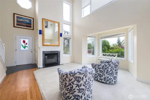 Gas fireplace plus a view of Mount Baker through the Octogen window.