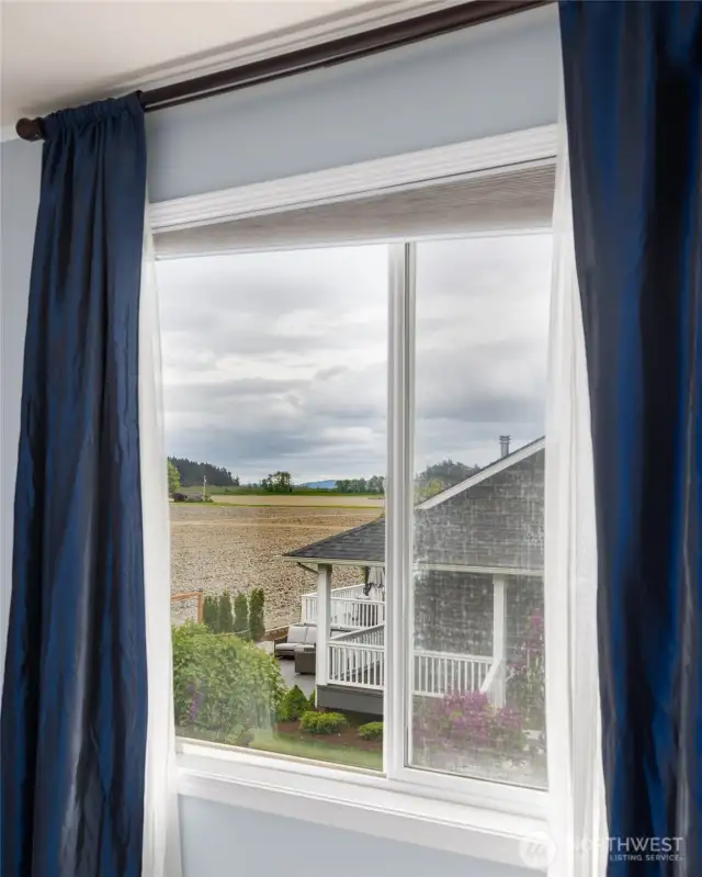 Window with a view.