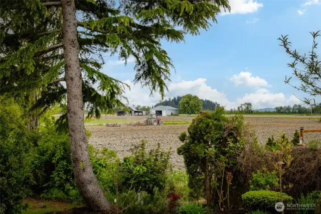 Farm field out the back deck