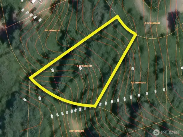 Approximate boundaries in yellow with topo.