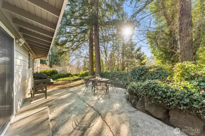 Serene, private backyard with a patio for outdoor dining, grilling space, and a flat east-side area formerly used for a trampoline.