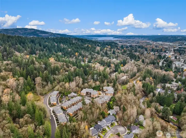 Drone of Kelkari - Minutes to DT Issaquah