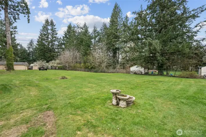 Gorgeous park like back yard. Must see in person