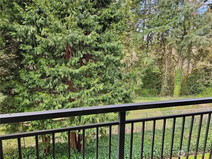 Relaxing view of greenbelt from the balcony.