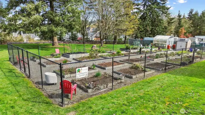 Another view of the community garden.
