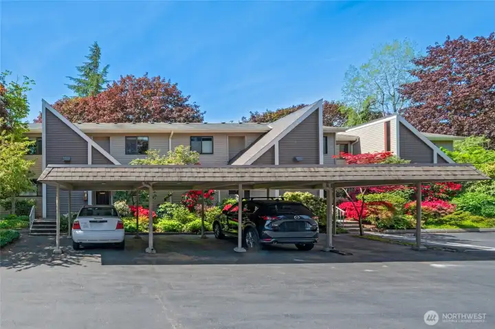 Welcome to the Sandpointer Condo Community!