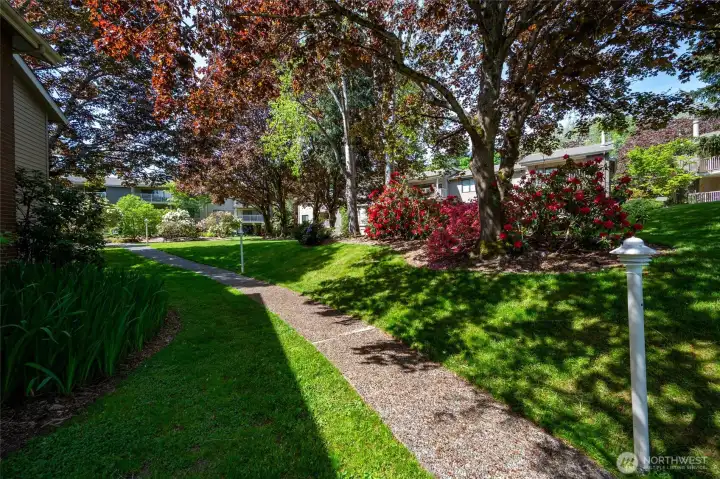 Sandpointer grounds were designed by acclaimed landscape architect Glen Hunt to create a seamless connection between homes and nature, with walking trails and green space.